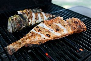 grilled-whole-rock-fish