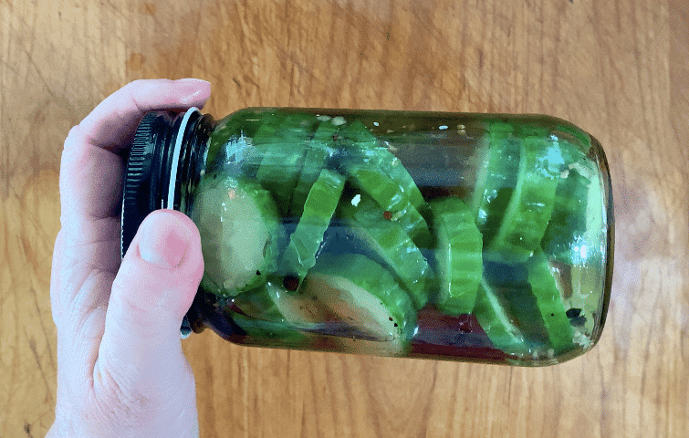 quick pickle jar
